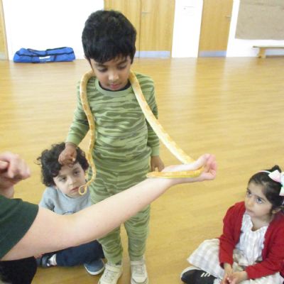 Wild Science in the Nursery