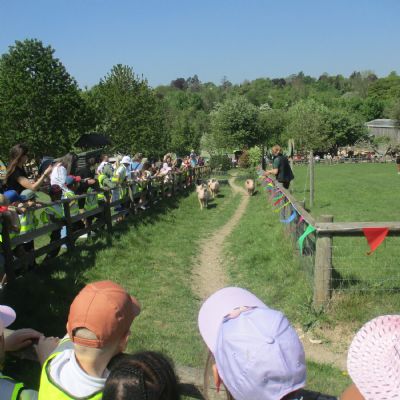 Reception visit to Bocketts Farm